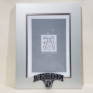 LECOM Frame